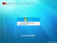 ѻ԰Ghost Win8.1 x64 ٷ2019.02(ü)