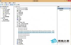 Win8ϵͳUSB޷ʹõĽ