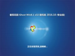 ѻ԰Ghost Win8.1 (32λ) װ2016v10(⼤)