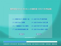 ѻ԰Ghost Win8.1 X64λ Żװv201706(輤)