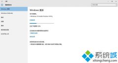 ����windows10��Ҷϵͳ����ʱ������ϵ�����ν��