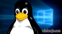 10��Ubuntu���ۻ�װwin10������о�������