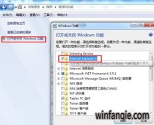 ���ж����ȼ���win10ϵͳiE�����