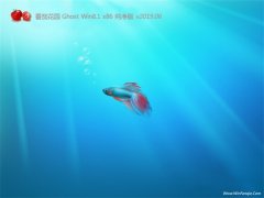 ѻ԰Ghost Win8.1x86 䴿2019.06(Զ)